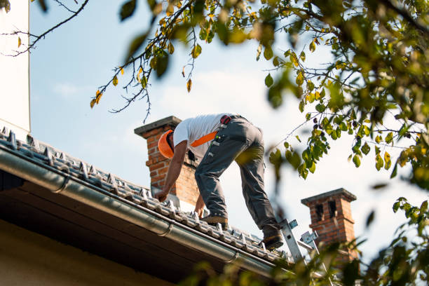 Best Storm Damage Roof Repair  in Freedom, PA